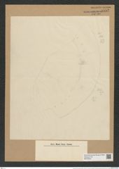 Coscinodiscus lindovicianus Rattr. (de-Toni-Nr.: Genus 202, Species 5140) Zeichnungen Sammlung Grunow Nr. 8892 (NHMW-BOT-W0378544)